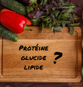 macronutriments: protéines glucides lipides