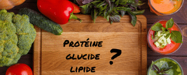 macronutriments: protéines glucides lipides